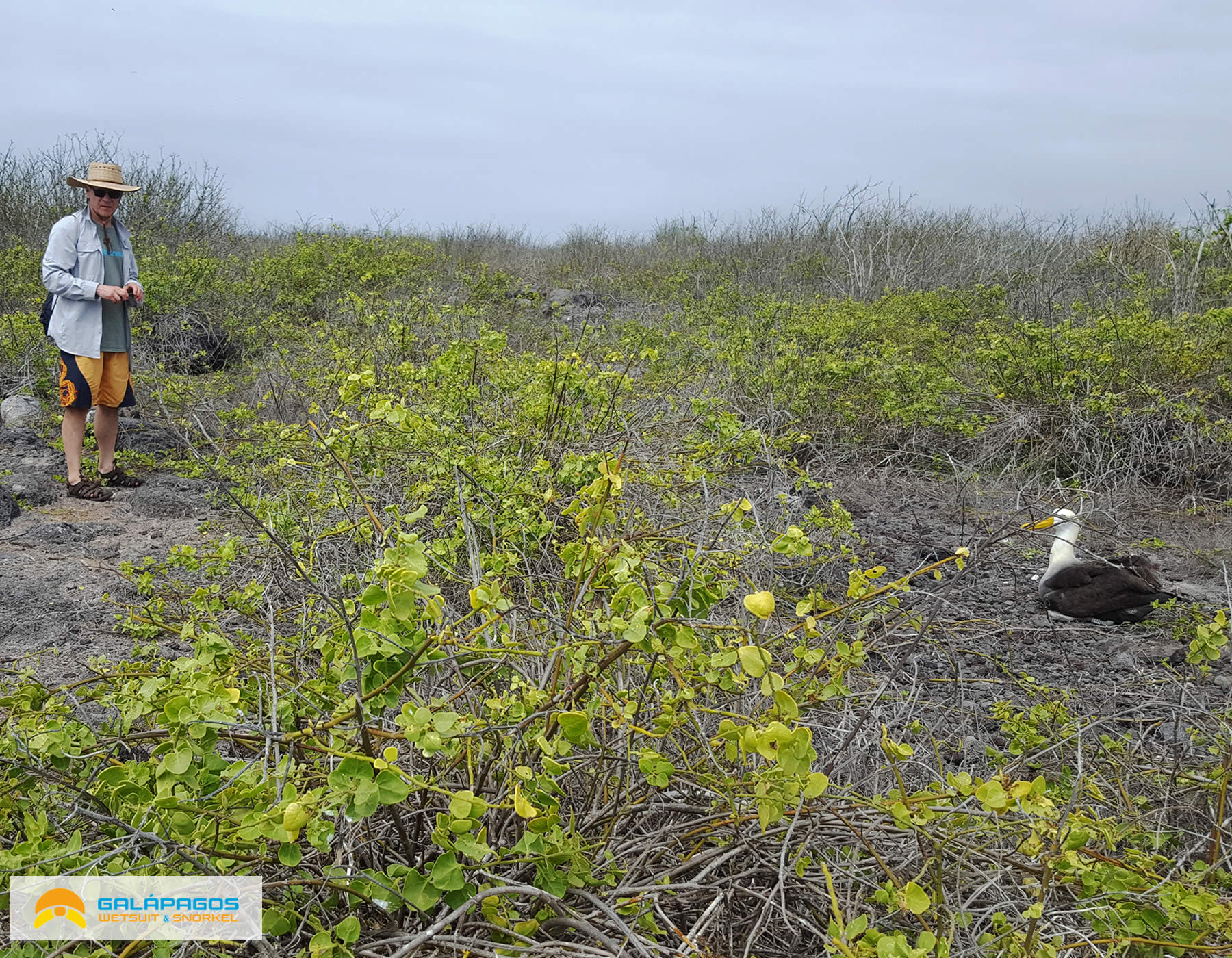 Presupuesto para 4 dias en Galapagos